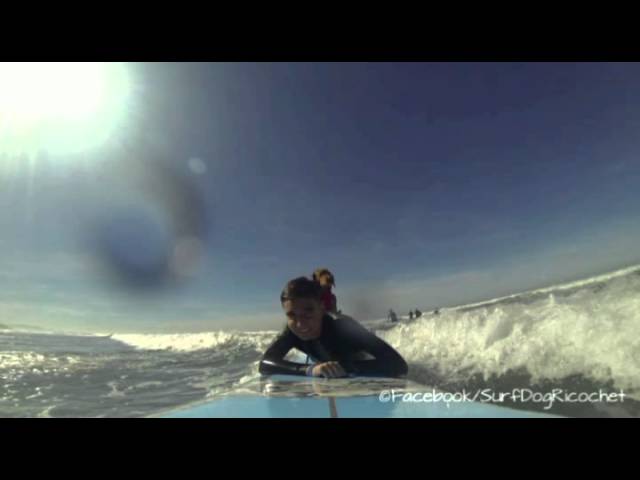 Surf dog Ricochet grants Make-A-Wish for Caleb