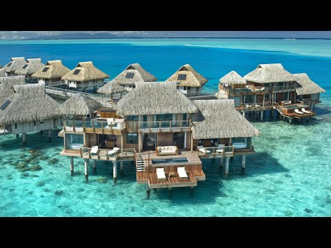 download lagu mp3 mp4 Amazing Holidays, download lagu Amazing Holidays gratis, unduh video klip Amazing Holidays