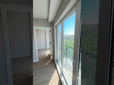 video 1