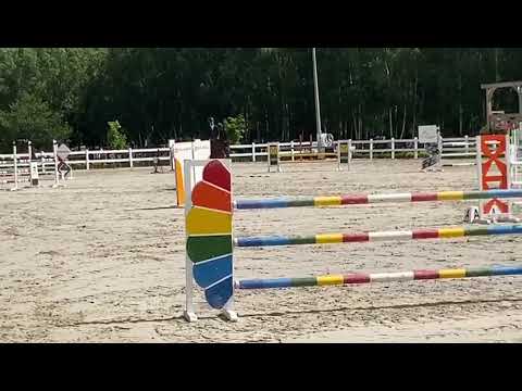 Lacjum (Vittorio x Lawito) 2020/07/12 ZO Salio - 125 cm I SPRZEDANY / SOLD