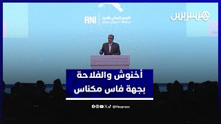 تفاؤل فلاحي واستعراض للإنجازات.. أخنوش يبرز دور الفلاحة بجهة فاس مكناس thumbnail