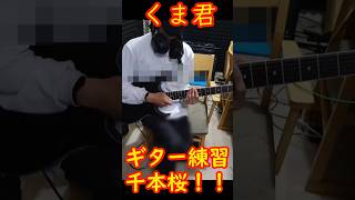 【クマ君ギター練習】千本桜　練習開始② 26/4/24！ #electricguitar #practice #shorts