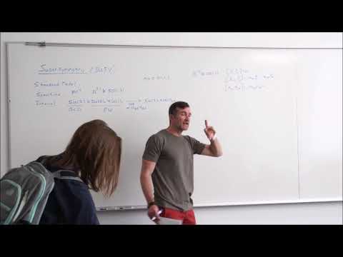 Physics X: SUSY (Supersymmetry)