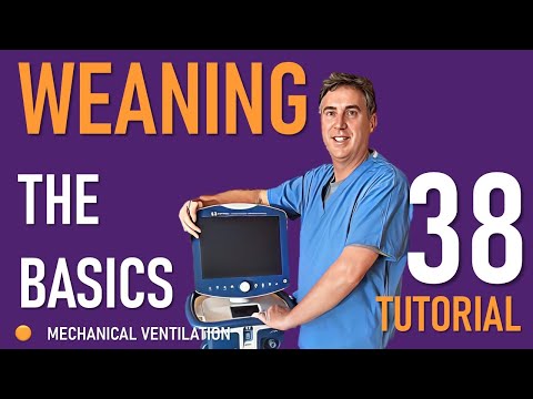 Weaning From Mechanical Ventilation