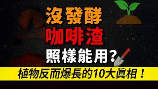 沒發酵咖啡渣照樣能用？10個原因解開園藝大謎團！