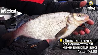 OBD 16504 Audi как устранить