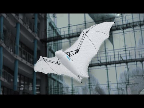 10 Amazing Robotic Animals You Must See