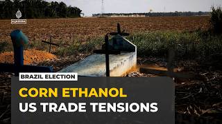 Brazil election: US trade tensions worry farmers