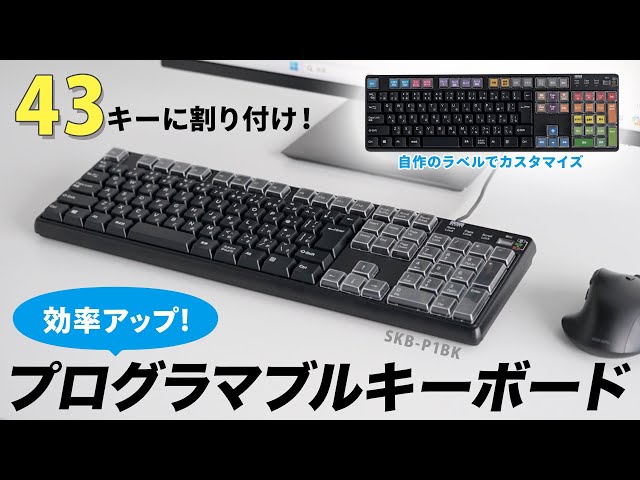 SKB-P1BK / プログラマブルキーボード