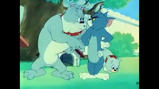 ᴴᴰ Tom and Jerry Episode 44 - Love That Pup 19