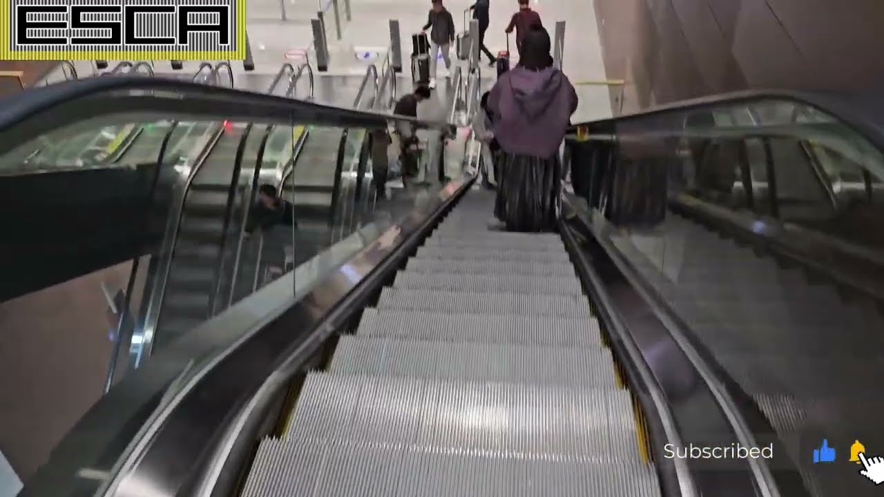 【２基】韓国 仁川国際空港 ICN エスカレーター OTIS 下り