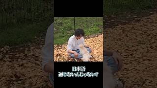 これもしかしてだけどさ #shorts