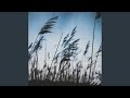 love is like the wind