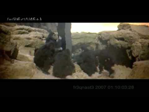 D. Ramirez - Evil Business Remix - fr3qnast3 AV MASHUP