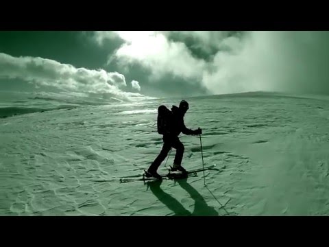 General Greed - Bro Hymn (Pennywise cover)