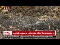 ALERTĂ LA MAPN PROIECTIL NEEXPLODAT Găsit într O Curte Știri B1 TV