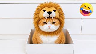 笑うなチャレンジ😹 爆笑犬猫動画まとめ2026 🐶🐱 #8