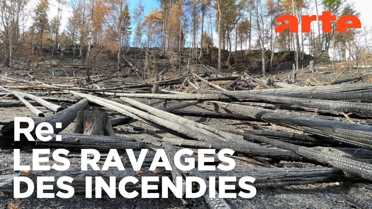 Les parcs nationaux et le risque d’incendie | ARTE Regards