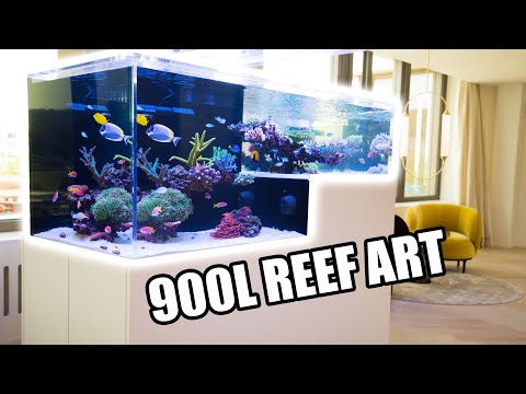 900L Mixed Reef Drop Off Tank by FMCS