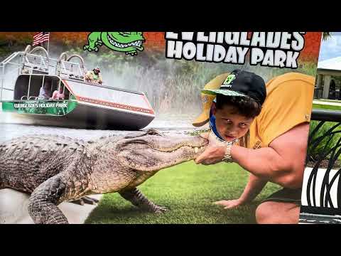 Everglades alligator cocodrilos en el sur de florida