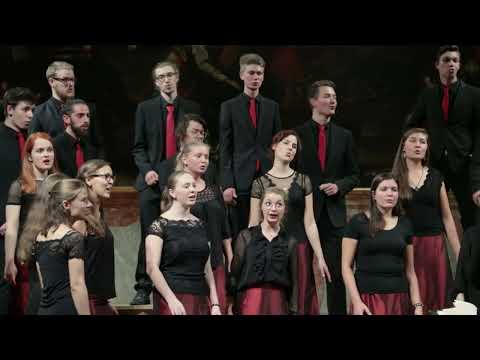 Acapella in Acapulco (TheRealGroup) – cantanima