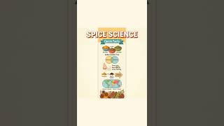 How Spices Hack Your Nervous System 🌶️🧠 #shorts
