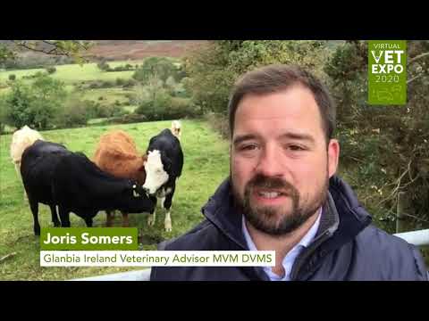 Vet Virtual Expo - Oral Drench Demonstration