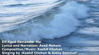 Dil Yaad Samandar Hai - Nazam