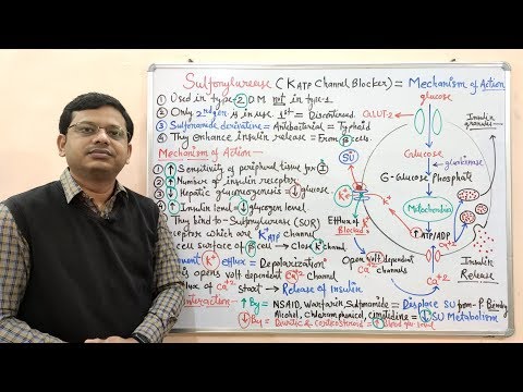 Diabetes Mellitus (Part-10) Mechanism of Action of Sulfonylurease | Antidiabetic Drugs | Diabetes