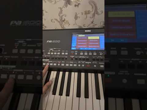 korg pa600 2021 musi set  015775610108