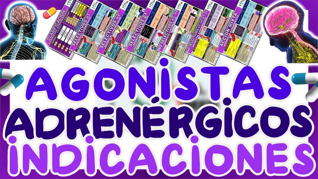 AGONISTAS ADRENÉRGICOS ALFA Y BETA (FENILEFRINA, ADRENALINA, DOPAMINA, SALBUTAMOL) | GuiaMed
