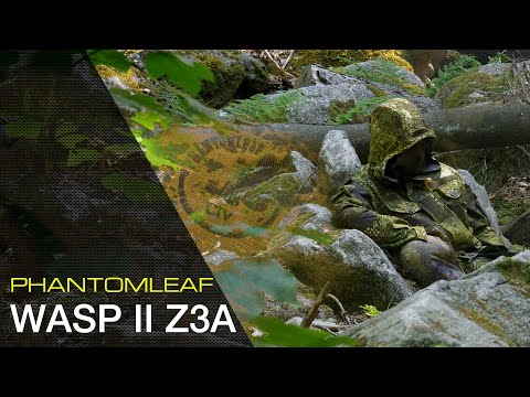 DIE PHANTOMLEAF STORY - TEIL1: GESCHICHTE, KONZEPT, WASP II Z3A