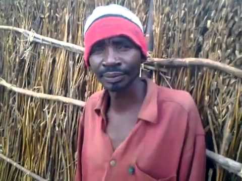 Mlevi na amri za pombe