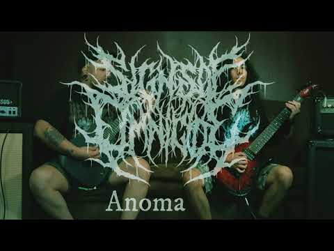 Signs Of Omnicide - Anomalies (guitar playthrough)