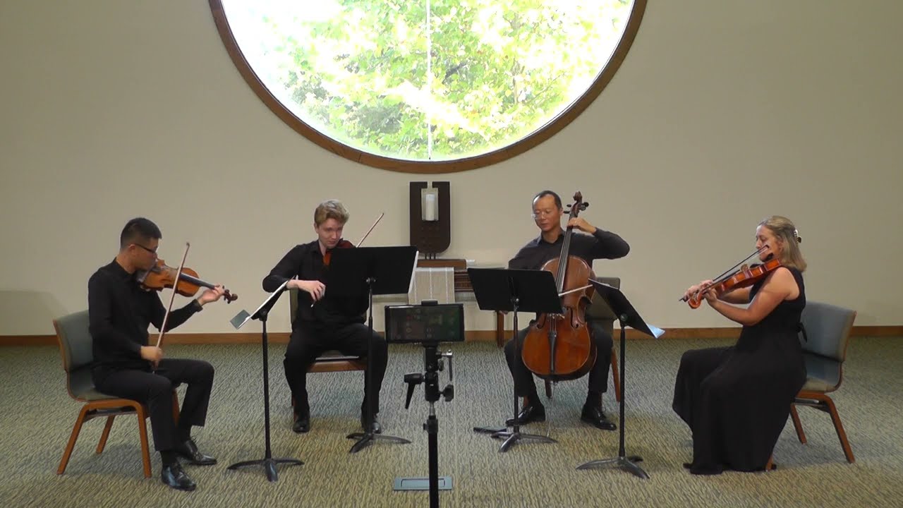 Promotional video thumbnail 2 for Pan String