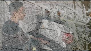 David Hicken - The Holly And The Ivy - Piano Solo by Felix Förster