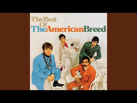 I Don't Think You Know Me - The American Breed