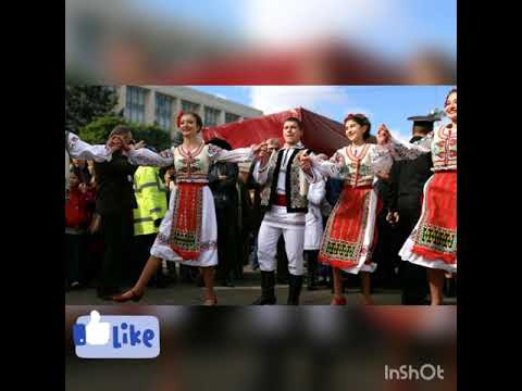 Magic & picu - auzi toba 2020