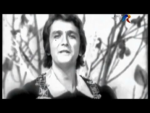 Dorin Teodorescu - Te voi răpi la noapte