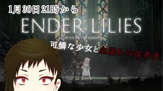 【Vtuber】可憐な少女と血濡れの従者たち【2Dアクション】