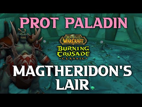 Magtheridon Raid Leader & Protection Paladin POV | Please Taunt - Arugal