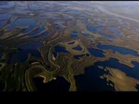 Callin Me Home/Music by Barry McGuire