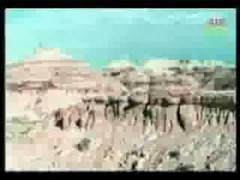 Dub Community of Russia in VIDEO