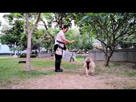 Amala follows the command well.