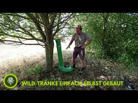 Wildtränke - einfach und schnell gebaut