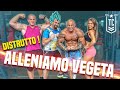 ALLENIAMO VEGETA - ...e lo abbiamo distrutto [Gianluca Iacono]