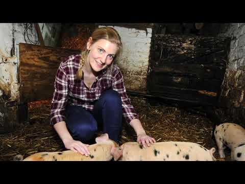 LISA15 - Scalable Meatfrastructure: Building Stable DevOps Teams