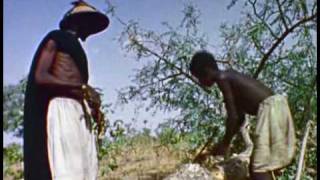 African Carving: A Dogon Kanaga Mask - PREVIEW