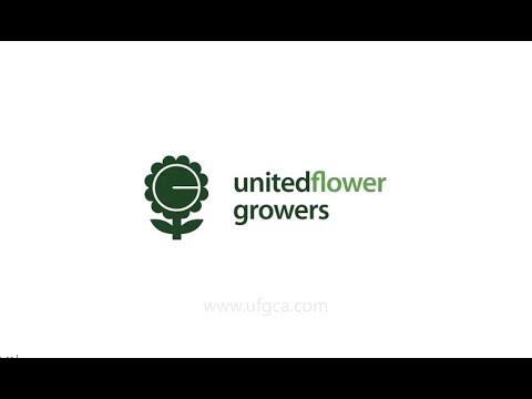 United Flower Growers "What is the Auction?" (by Red+Ripley)