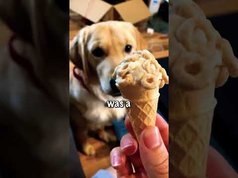 Adorable dog DEVOURS the ULTIMATE ice cream 😂🐶 (dog safe recipe)
